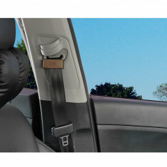 add_8805341 001288_20191205_918361.jpg